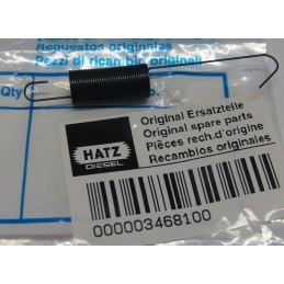 Hatz L series pump rail spring 03468100