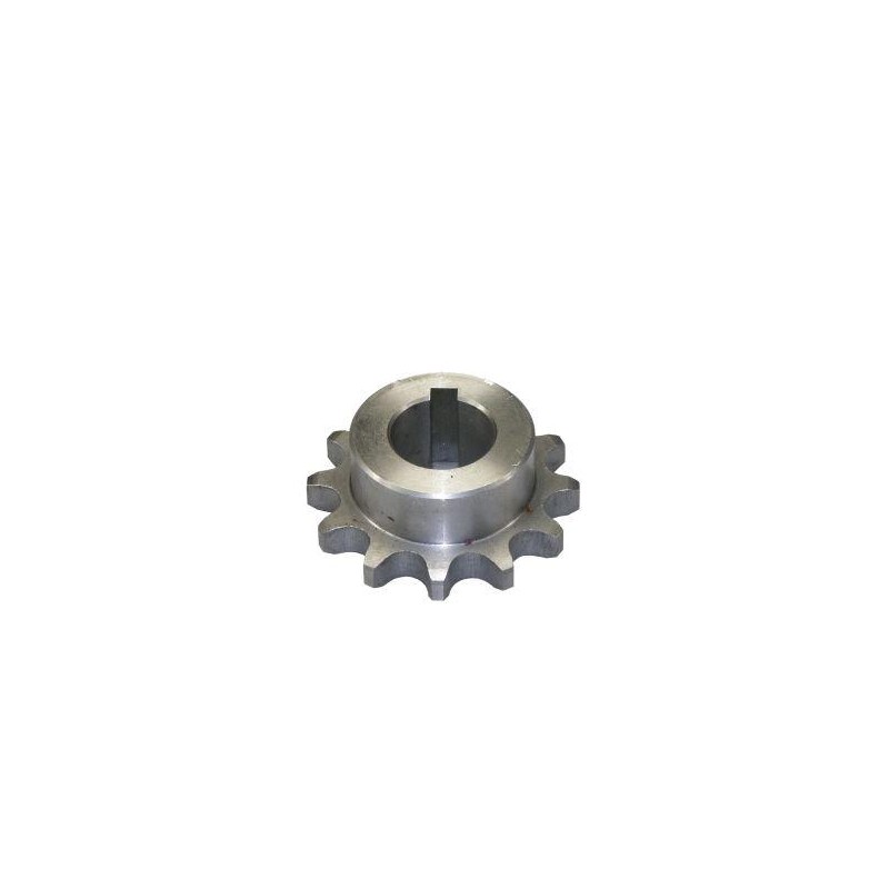 Chain sprocket z12 anna 0530