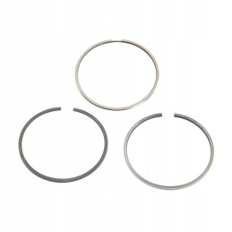 Set of piston rings fendt f119200310030 org