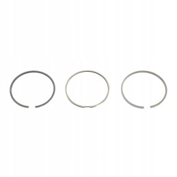 Set of piston rings fendt f119200310030 org