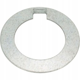 A washer securing the crankshaft gear