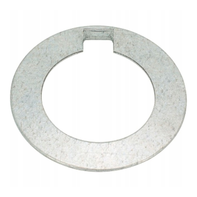 A washer securing the crankshaft gear