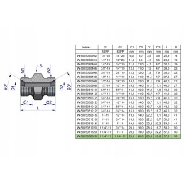 Inch hydraulic connector bb 1 1 4 BSP Warynski