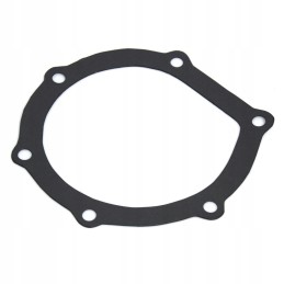 Water pump gasket SW400 Bizon 08130430