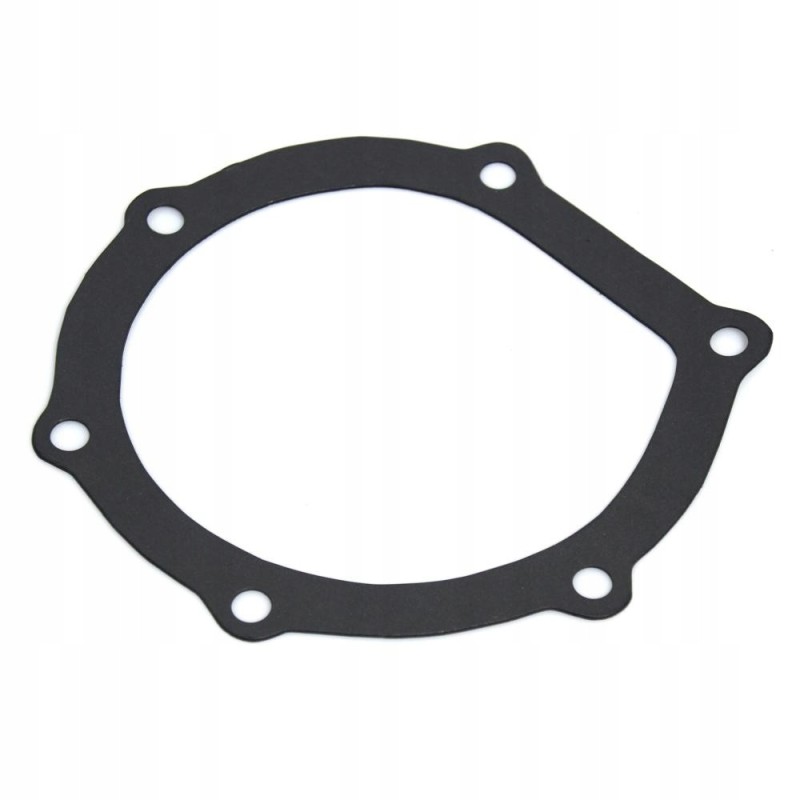 Water pump gasket SW400 Bizon 08130430