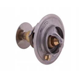 Thermostat 2485613 Landini Polmo