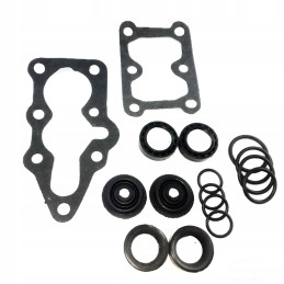 Set of distributor gaskets t 25 p80808139
