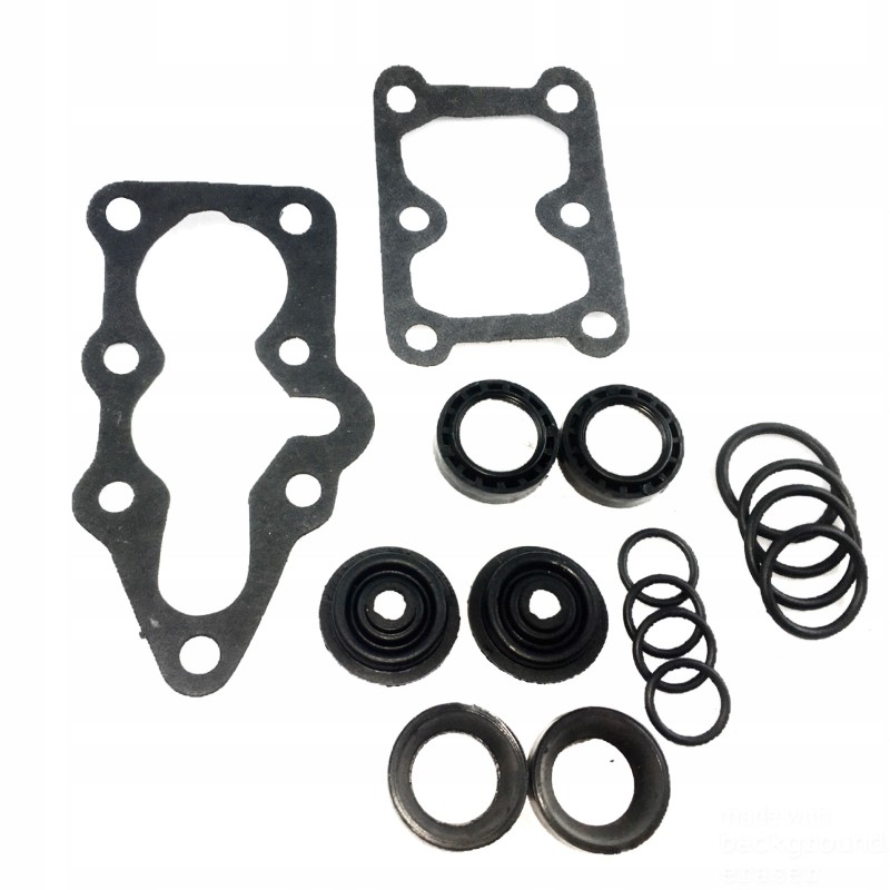 Set of distributor gaskets t 25 p80808139