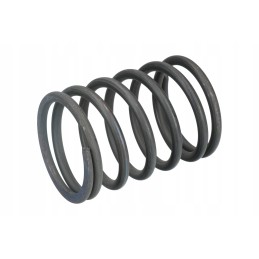 Ursus C 385 lock spring