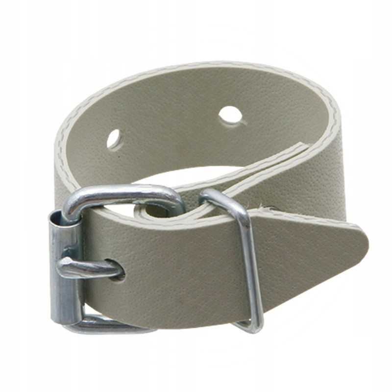 Strap with buckle 1420120
