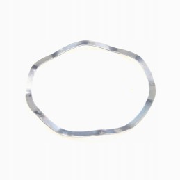 Fendt f281102150030 disc original