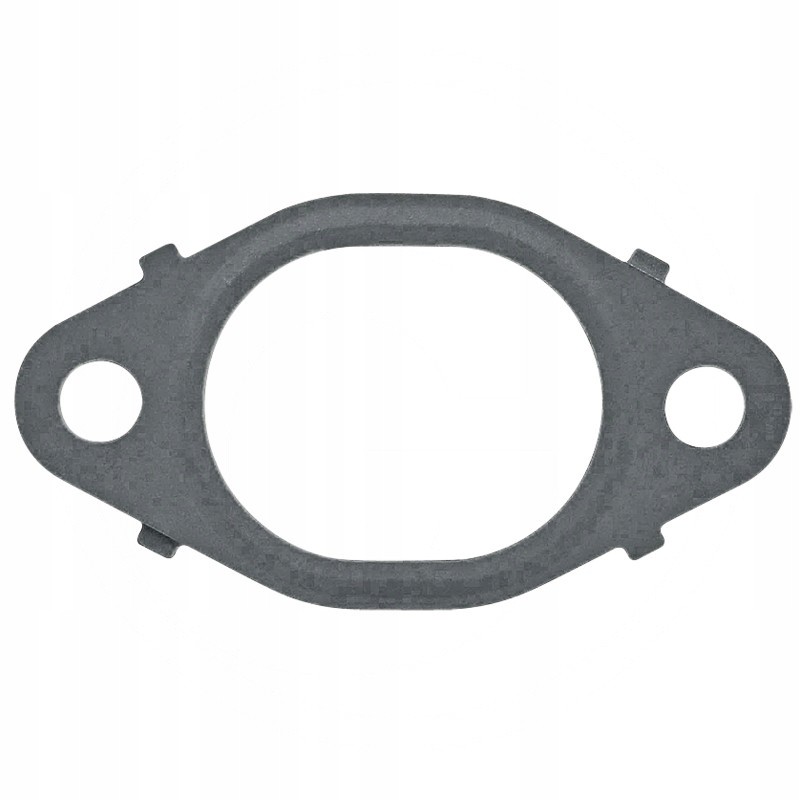 Exhaust manifold gasket 38012439