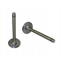 Exhaust valve 7340 zetor 52020507