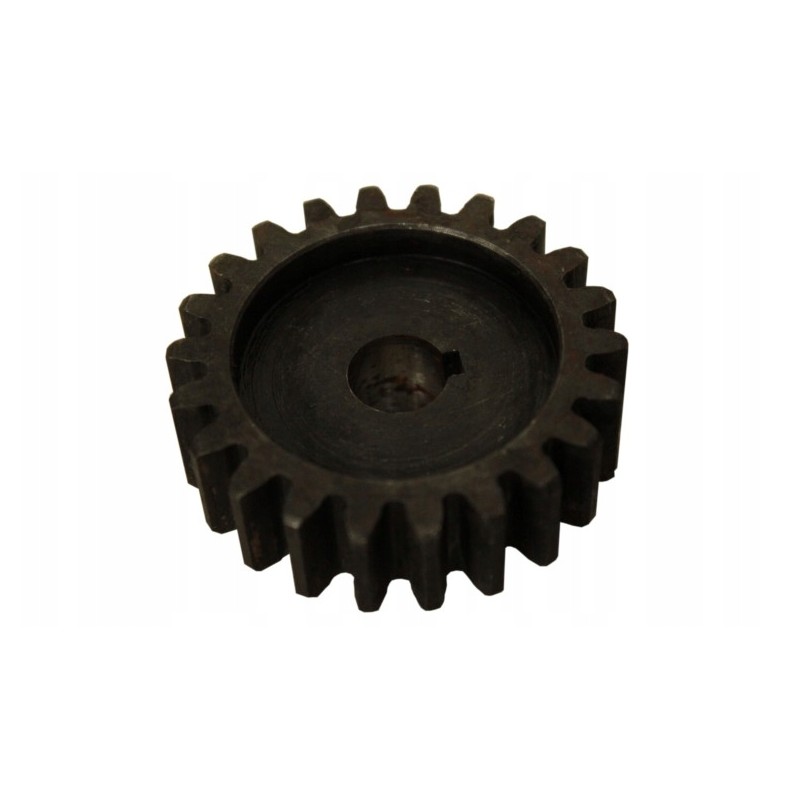 Small gear wheel of the ovary power steering pump