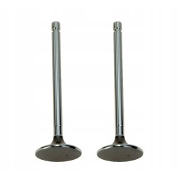 Suction valve for C 330 2 pcs 50008470 Paradowski amp