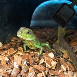 2pcs reptile sand shovels garbage box shovel