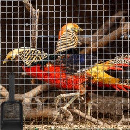 2pcs reptile sand shovels mesh sand shovel