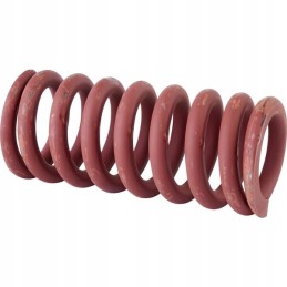 Spring for the sprung polo ZETOR 55113649