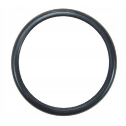 Axle pin sealing ring for tires