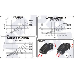 Binotto MDS80 P Hydra multi-piston angular pump