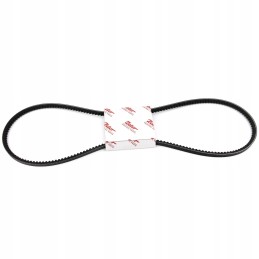 V-belt 10x1385 zetor proxima fortera 10013905