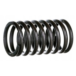 External valve spring mtz 2401007045