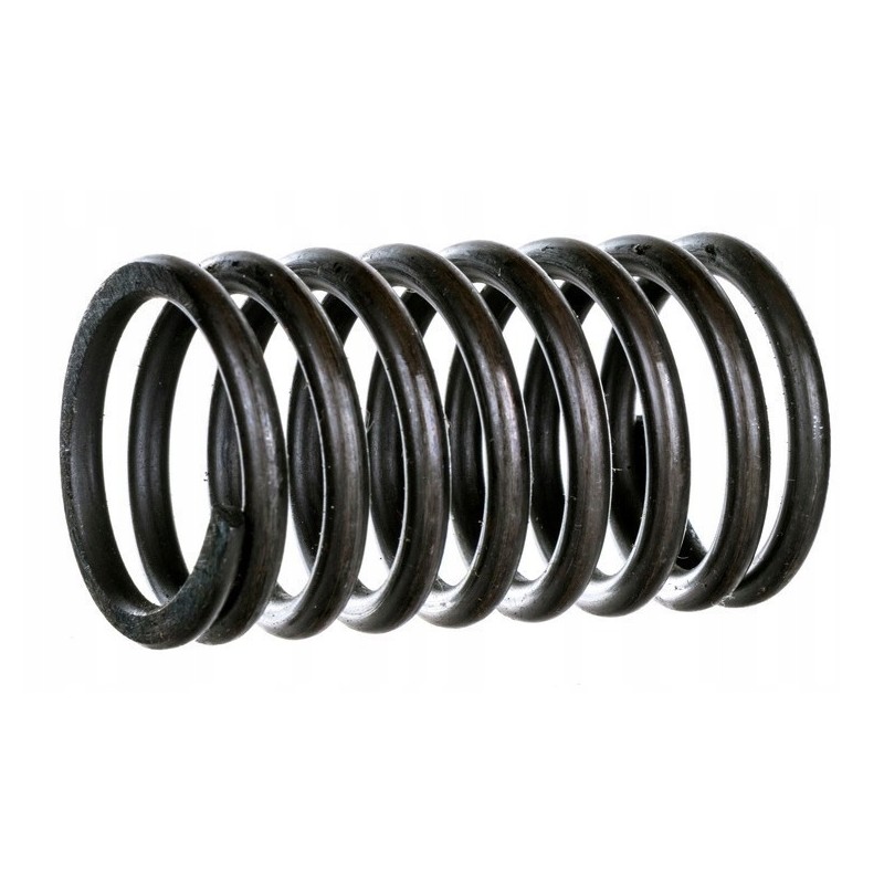 External valve spring mtz 2401007045