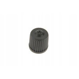 307193 plastic cap for the valve