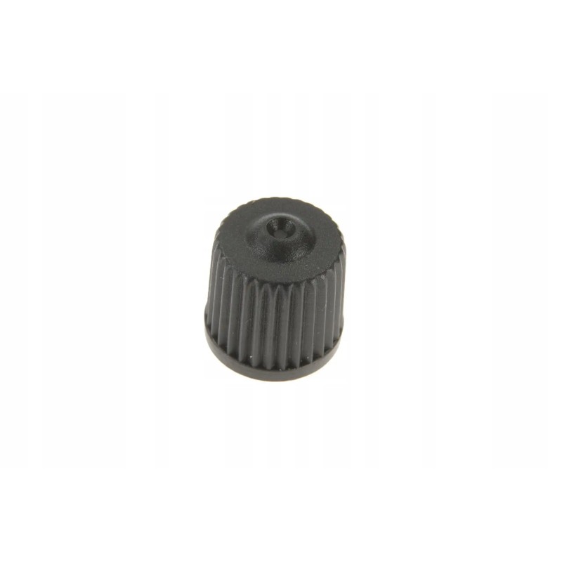 307193 plastic cap for the valve