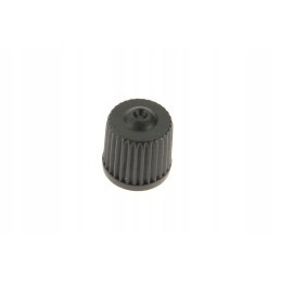 307193 plastic cap for the valve