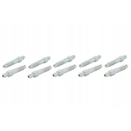 Brake bleeder wp wp5 300 0085 10