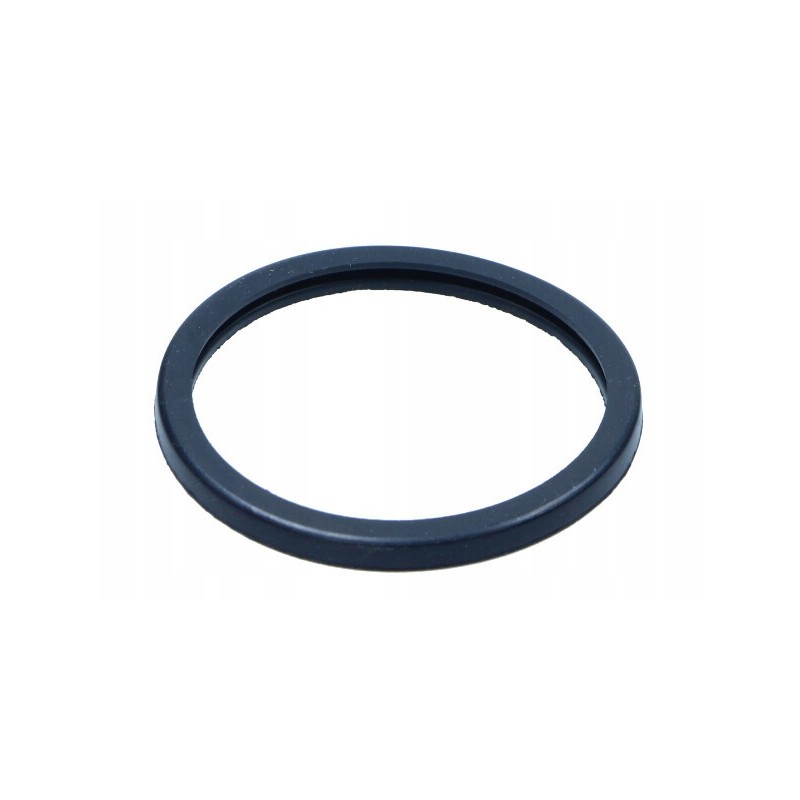 Thermostat gasket fiat ducato 2 5td 01 4823212