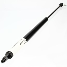 Rear window gas actuator case 744 745 844 955