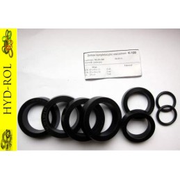 Seals for double cylinder nujn 100 k 120