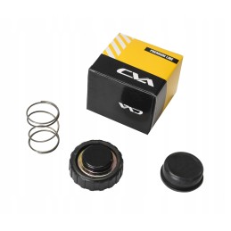 JCB DieselMax fuel pump repair kit