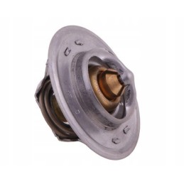 Thermostat 83916917 Ford Polmo