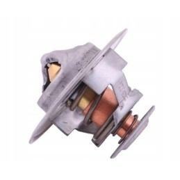 Thermostat 98463637 case Polmo