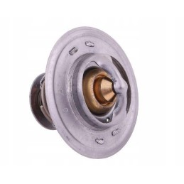 Thermostat 98463637 case Polmo