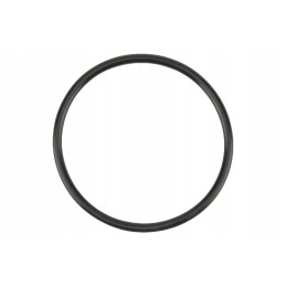 F716201050030 thermostat gasket