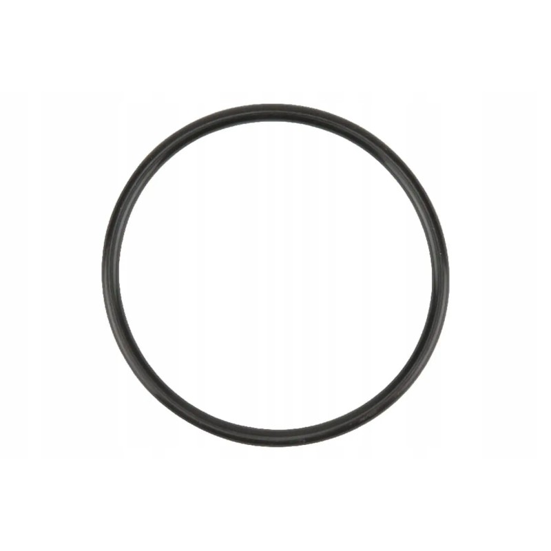 F716201050030 thermostat gasket