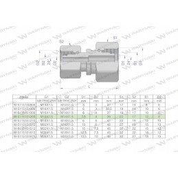 Hydraulic connector AA M18x1 5 x M14x1 5 Warynski
