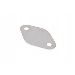 X899980351000 gasket, egr plug