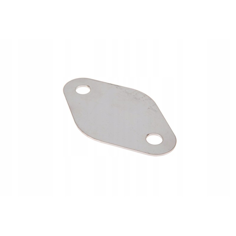 X899980351000 gasket, egr plug