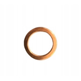 Lombardini LDW903 injection washer