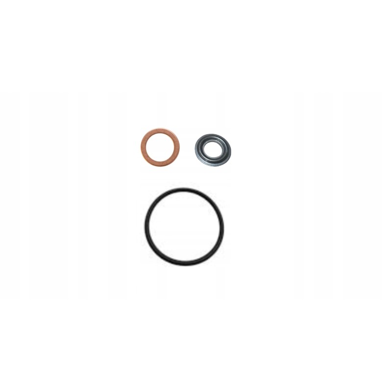 Lombardini ldw502 injection seal set