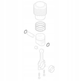 Hatz 50020800 pin protection E786