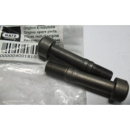 Hatz 1d81 1d90 connecting rod foot screw 04001810
