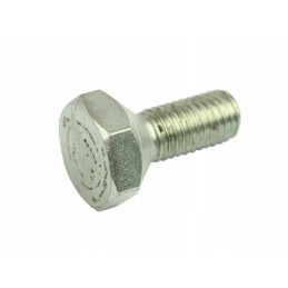 Alternator clutch bolt mf 60110131040