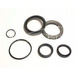 Neptun control actuator seals