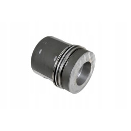 3660306817 complete piston